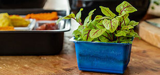 ANL Packaging blue cress tray for agriculture ANL Packaging blue cress tray for agriculture